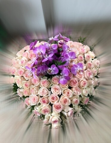 Cuore di rose e orchidee